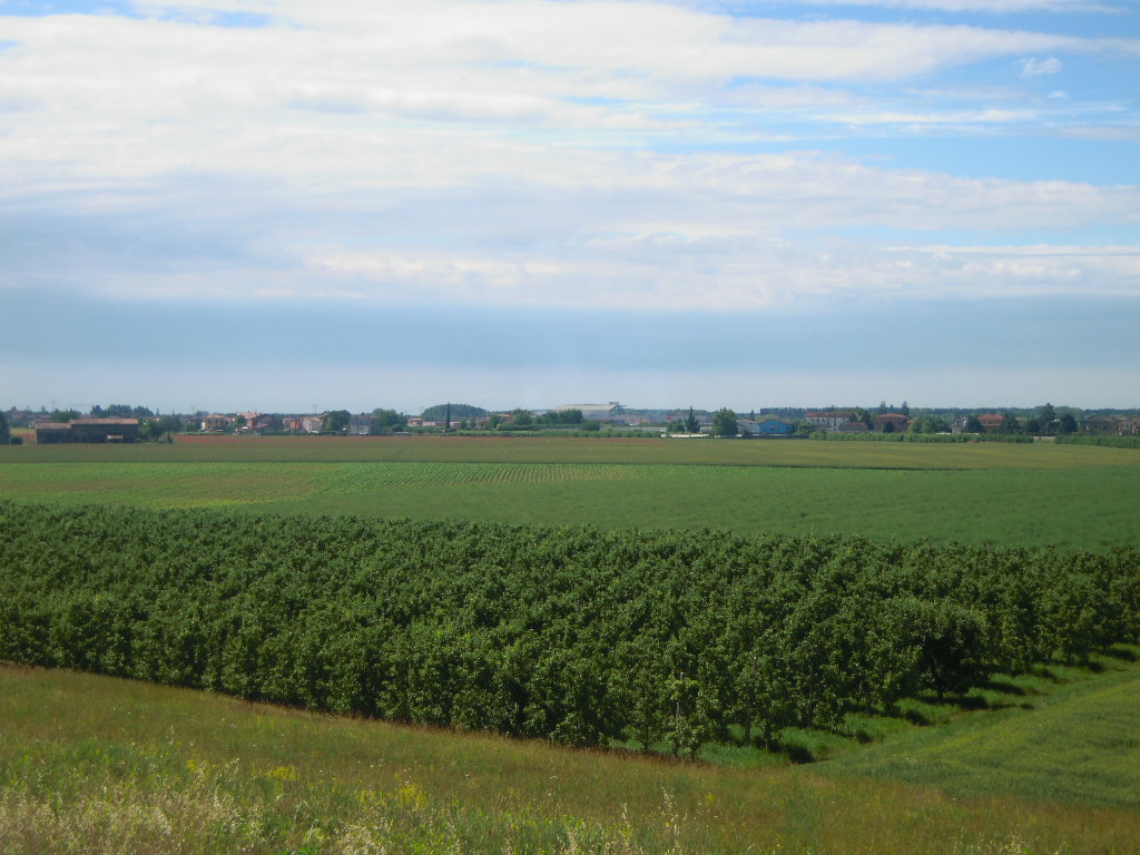 Paesaggio stagionale